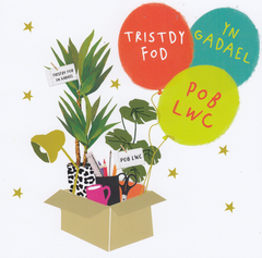 Trist dy fod yn Gadael, Pob Lwc