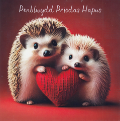 Penblwydd Priodas Hapus