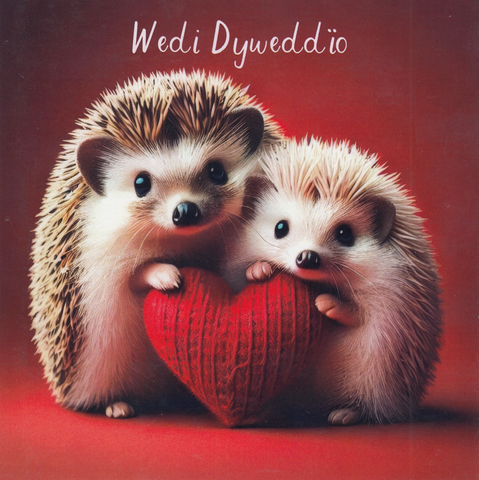 Wedi Dyweddio