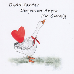 Dydd Santes Dwynwen Hapus i'm Gwraig