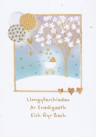 Llongyfarchiadau ar Enedigaeth eich Wyr Bach