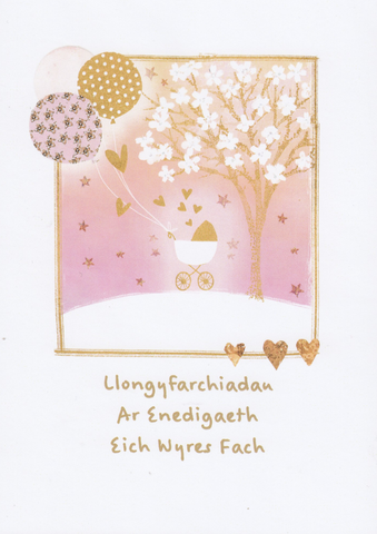 Llongyfarchiadau ar Enedigaeth eich Wyres Fach