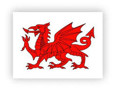 Welsh Dragon Pin Badge|Bathodyn Pin Draig Goch Cymru