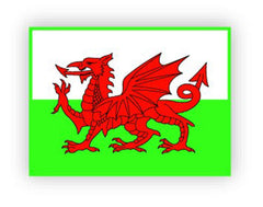 Dragon Welsh Flag Pin Badge|Bathodyn Pin Baner Cymru