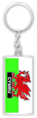 Cymru Dragon Rectangle Keyring|Cylch Allweddi Baner Cymru