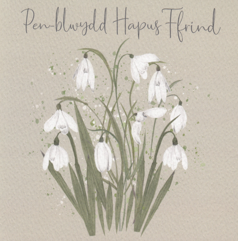 Pen-blwydd Hapus Ffrind