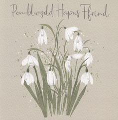 Pen-blwydd Hapus Ffrind