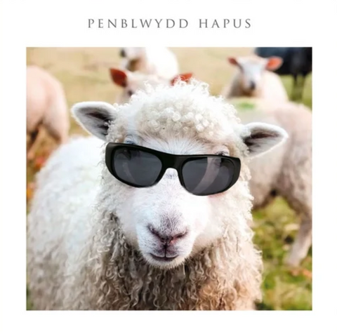 Penblwydd Hapus