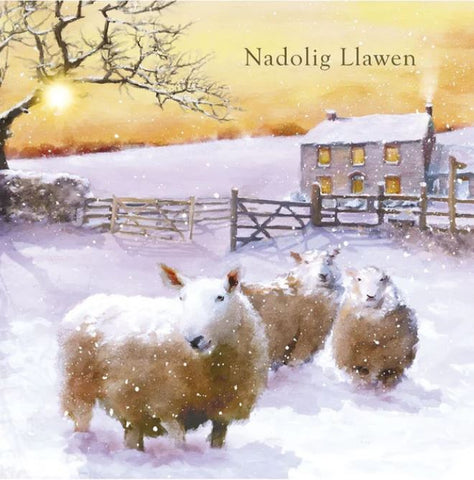 Nadolig Llawen (pack) |Nadolig Llawen (pecyn)