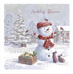 Nadolig Llawen (pack) |Nadolig Llawen (pecyn)