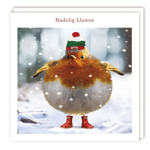 Nadolig Llawen (pack) |Nadolig Llawen (pecyn)