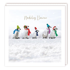 Nadolig Llawen (pack) |Nadolig Llawen (pecyn)