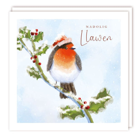 Nadolig Llawen (pack) |Nadolig Llawen (pecyn)