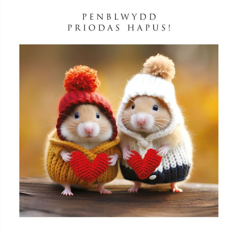 Penblwydd Priodas Hapus!