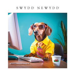 Swydd Newydd