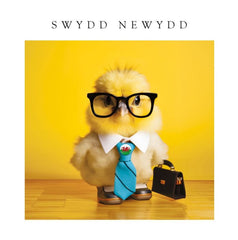 Swydd Newydd