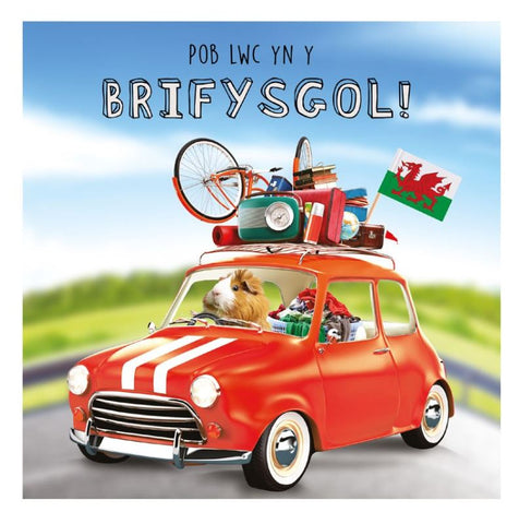 Pob Lwc yn y Brifysgol