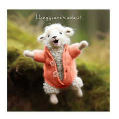 Llongyfarchiadau!
