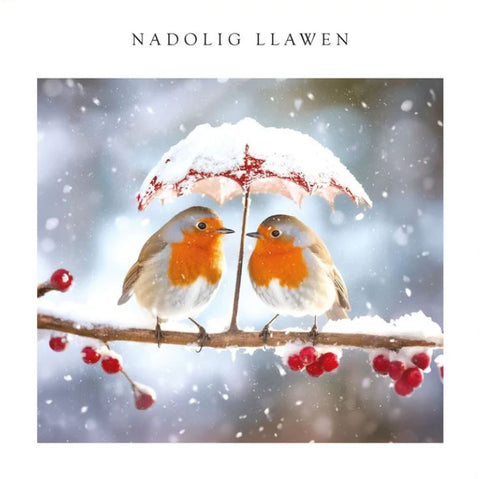 Nadolig Llawen (pack) |Nadolig Llawen (pecyn)