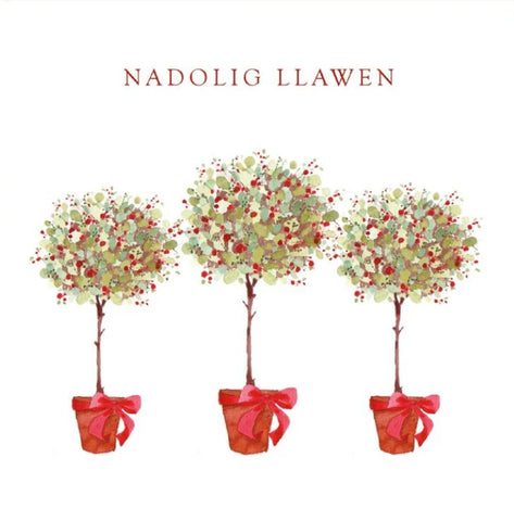 Nadolig Llawen (pack) |Nadolig Llawen (pecyn)