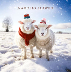 Nadolig Llawen (pack) |Nadolig Llawen (pecyn)
