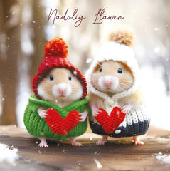 Nadolig Llawen (pack) |Nadolig Llawen (pecyn)