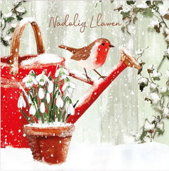 Nadolig Llawen (pack) |Nadolig Llawen (pecyn)