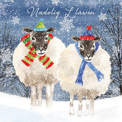 Nadolig Llawen (pack) |Nadolig Llawen (pecyn)