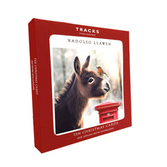 Nadolig Llawen (pack) |Nadolig Llawen (pecyn)