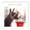 Nadolig Llawen (pack) |Nadolig Llawen (pecyn)