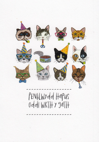 Penblwydd Hapus oddi wrth y Gath