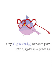 I fy ngwraig arbennig ar benblwydd ein priodas