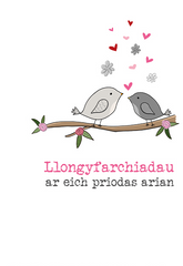 Llongyfarchiadau ar eich priodas arian