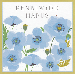 Penblwydd Hapus