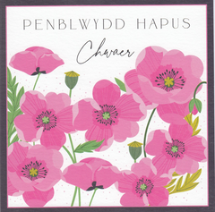 Penblwydd Hapus Chwaer