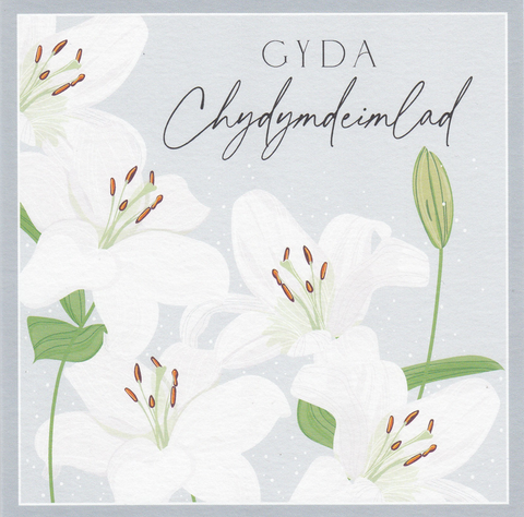 Gyda Chydymdeimlad