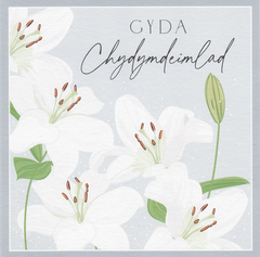 Gyda Chydymdeimlad
