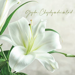 Gyda Chydymdeimlad
