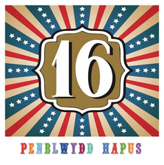 Penblwydd Hapus - 16