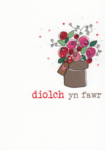 Diolch yn fawr