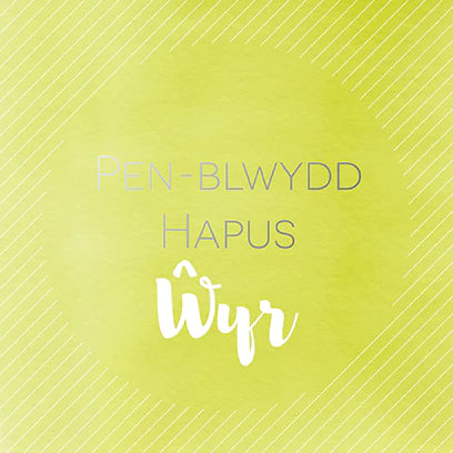 Pen-blwydd hapus Ŵyr