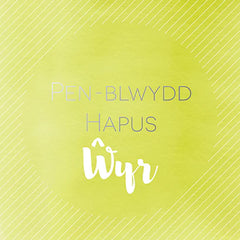 Pen-blwydd hapus Ŵyr