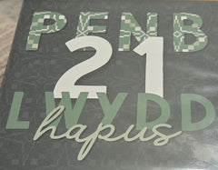 Penblwydd Hapus 21