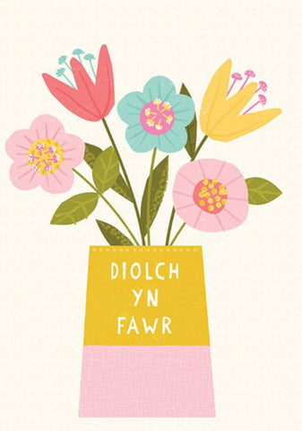 Diolch yn Fawr (Pack)|Diolch yn Fawr (Pecyn)