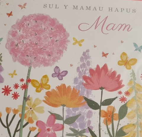 Sul y Mamau Hapus Mam