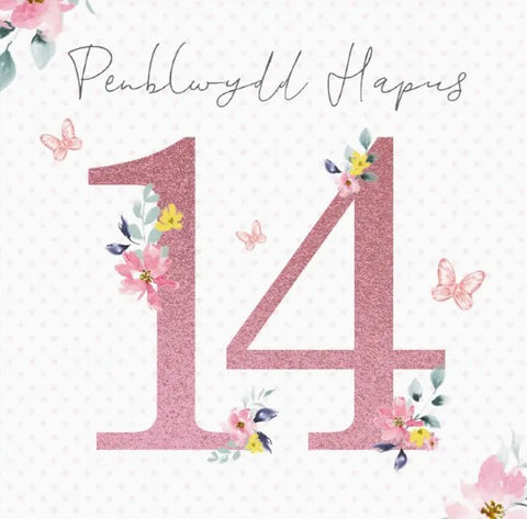 Penblwydd Hapus - 14