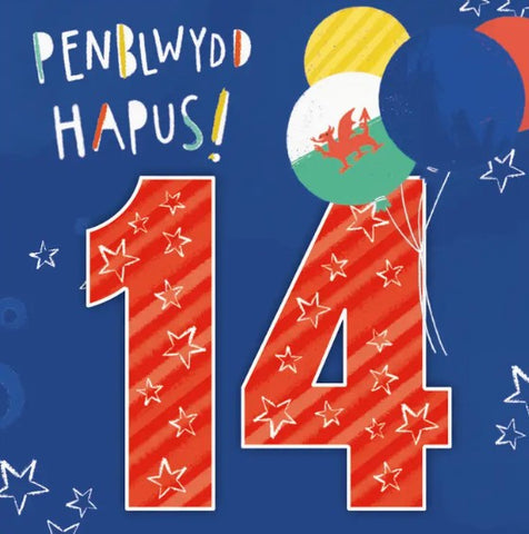 Penblwydd Hapus - 14