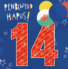 Penblwydd Hapus - 14
