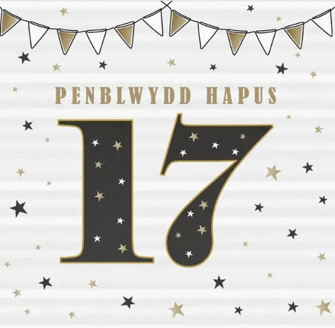 Penblwydd Hapus 17