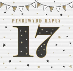 Penblwydd Hapus 17